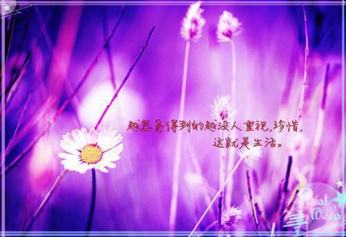 以轮回为聘与君诀（萧璟珩慕言欢）全文浏览_以轮回为聘与君诀全文浏览