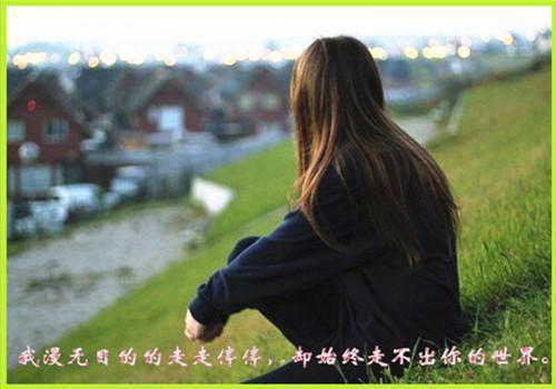 谢临风沈砚卿免费最新章节_谢临风沈砚卿免费全文阅读