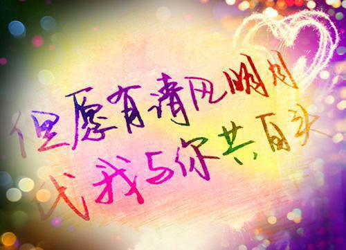 身为臭名昭著的公主，我当街抢了个男人宋白玉秦至最新章节完整版小说阅读