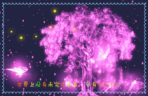 佚名写的小说少爷，少奶奶又打架了阅读