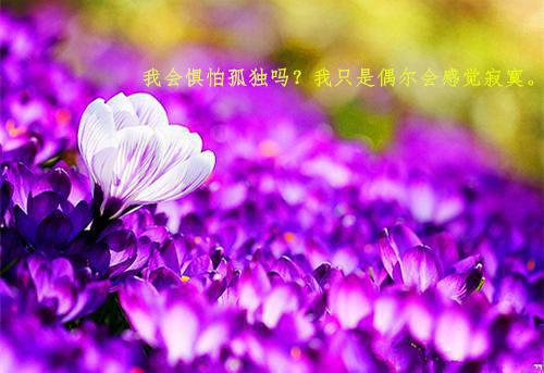 (番外)+(全文)长离不见清瑟：章节精选免费下载阅读_（江清瑟谢长离）长离不见清瑟：章节精选最新章节列表_笔趣阁（江清瑟谢长离）