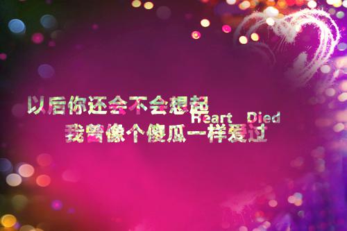 沈意欢陆沉舟新鲜出炉(沈意欢陆沉舟)最近更新