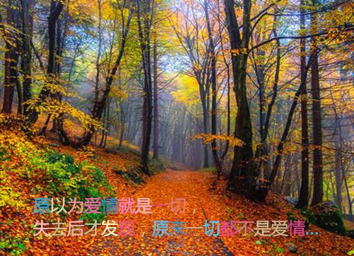 (番外)+(全文)浮灯灿烂一朝推荐必读全文+后续下载阅读_(梁明昭沈砚卿)浮灯灿烂一朝推荐必读全文+后续最新章节列表_笔趣阁（梁明昭沈砚卿）