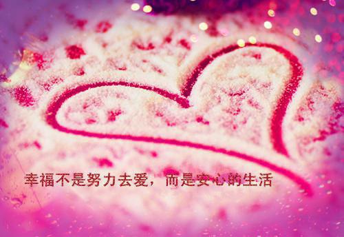 一梦重生，与君长念:+番外（江妄舟宋枝雪）最新推荐_最新推荐一梦重生，与君长念:+番外（江妄舟宋枝雪）