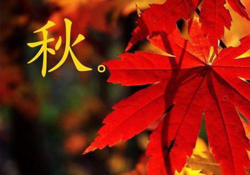 三年情爱终梦醒：免费在线（蒋清菡宋怀安）已完结，三年情爱终梦醒：免费在线已完结