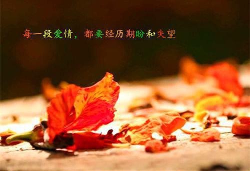 斗罗：人在天牢，镇压比比东百年全文阅读（苏宇唐三）最新章节_斗罗：人在天牢，镇压比比东百年全文阅读