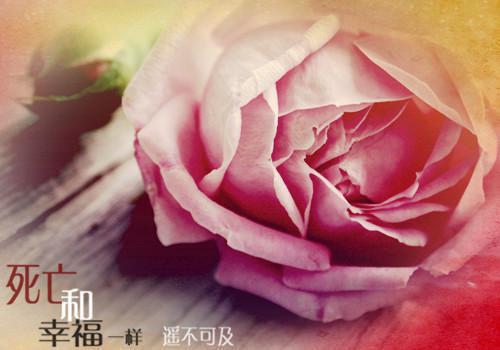 陆沉舟沈意欢林青绾：最新推荐_最新章节阅读陆沉舟沈意欢林青绾：