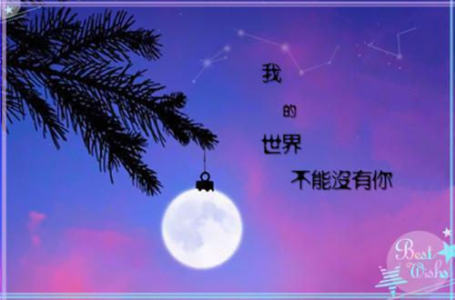 没能成为你的月亮：前言+后续精心编著全文小说乔青穗陆予深小说在线阅读