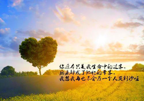 假装被夫君心上人的***吃掉后，他杀（叶书然,府医,皇姐）全文免费_（叶书然,府医,皇姐）假装被夫君心上人的***吃掉后，他杀后续阅读（叶书然,府医,皇姐）