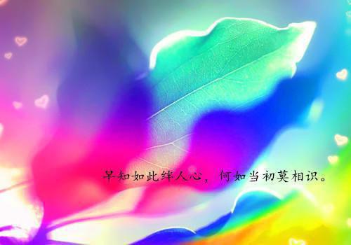 八零：奶狗弟弟太粘人热门小说（陈诗婷赵珈珩）免费试读