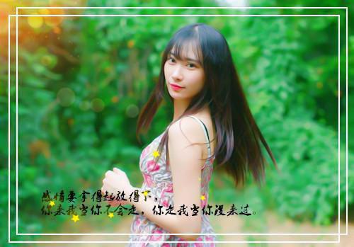 流光错系断蓬之舟：完结篇全文阅读（沈煜谢晚烟）最新章节_流光错系断蓬之舟：完结篇全文阅读