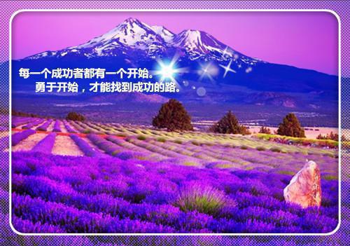 网恋被甩后我成了全网初恋：（季夏天裴贺朝）全文浏览_网恋被甩后我成了全网初恋：全文浏览