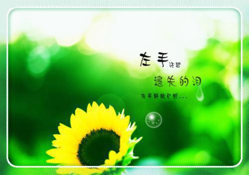 完结文我只是想给他留个后，有错吗：结局+番外最新章节列表_完结文我只是想给他留个后，有错吗：结局+番外全文免费阅读（顾明轩）