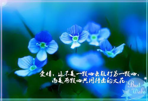 （韩初雪）这一次我略过了她渴望的眼神书名的在线阅读最近更新
