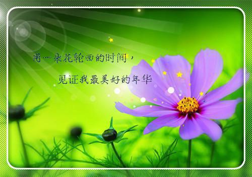 前夫把嫂子当宝，重生改嫁不原谅（夏晚晴李秀莲）全文免费_（夏晚晴李秀莲）前夫把嫂子当宝，重生改嫁不原谅后续阅读（夏晚晴李秀莲）