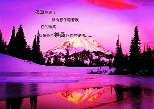 余温灼烫不眠夜：全章+后续+结局全文阅读（林安素蒋臣舟）最新章节_余温灼烫不眠夜：全章+后续+结局全文阅读