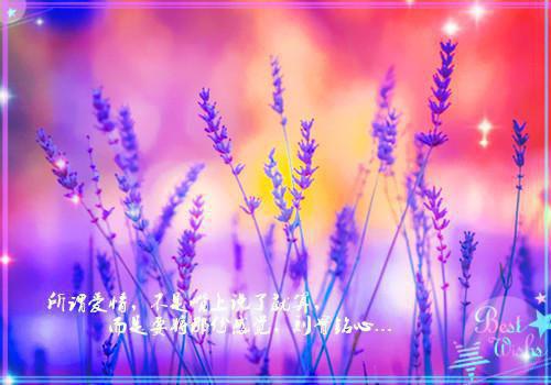 完结文白蛇献宝，我靠虫修纵横远古最新章节列表_完结文白蛇献宝，我靠虫修纵横远古全文免费阅读（小强,林小雨,叶家）