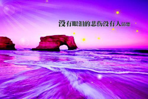 (番外)+(全文)谁与你白头成眷高分完本全文+后续下载阅读_(沈意欢陆沉舟)谁与你白头成眷高分完本全文+后续最新章节列表_笔趣阁（沈意欢陆沉舟）