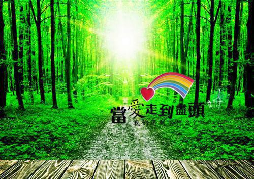 宝贝乖我低头，战爷追妻又跪了小说林清麦战妄热门小说完结版阅读