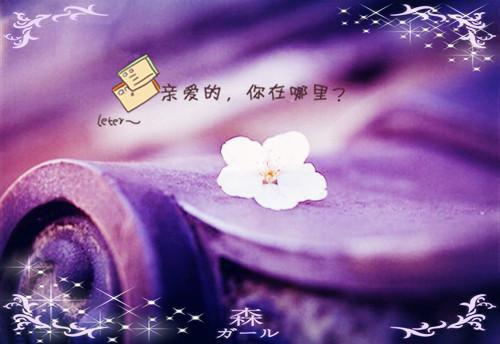 (番外)+(结局)梁明昭沈砚卿（浮灯灿烂一朝梁明昭现已上架）全文免费阅读无弹窗大结局_(梁明昭沈砚卿)最新章节列表_笔趣阁（浮灯灿烂一朝梁明昭现已上架）