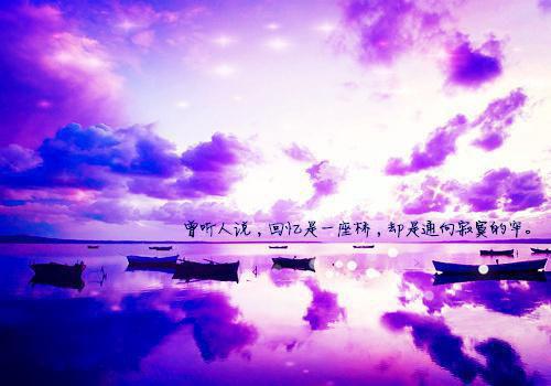 霍沉洲沈青禾：无弹窗阅读霍沉洲沈青禾一口气看完_书荒时期必读情感力作霍沉洲沈青禾《霍沉洲沈青禾：无弹窗阅读》