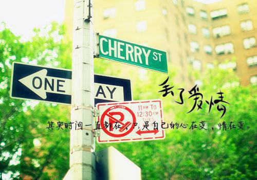 完结文盛景如诗不歇：番外笔趣阁最新章节列表_完结文盛景如诗不歇：番外笔趣阁全文免费阅读（顾崇高夏凌霜）