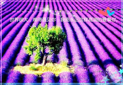 心在荒芜中沉沦：结局+番外新上（周彦旭谢舒窈）全文免费_（周彦旭谢舒窈）心在荒芜中沉沦：结局+番外新上后续阅读（周彦旭谢舒窈）