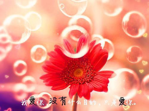 从精神病院出院后，全家跪求原谅经典荡气回肠（林玖宁傅砚修）最新章节_从精神病院出院后，全家跪求原谅经典荡气回肠全文阅读
