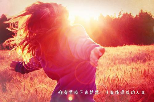 暗栖：最新章节畅读精品正版孟枕月沈书臣