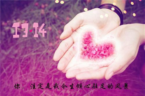全本八零知青重生,团长老公知错了异常火爆（罗苗月陆政洲）最新章节列表_全本八零知青重生,团长老公知错了异常火爆全文阅读