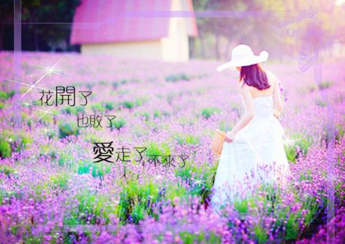 完结文女儿任务那天，家人曝光了她的行踪最新章节列表_完结文女儿任务那天，家人曝光了她的行踪全文免费阅读（沈卫东小妍）