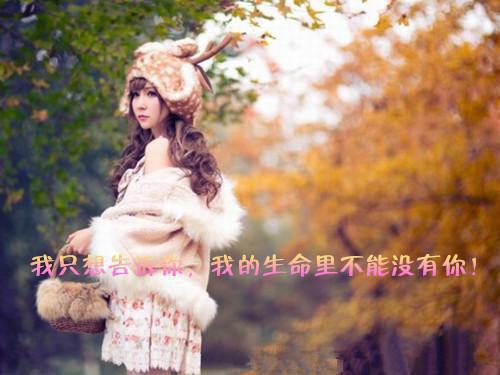 免费小说假千金手撕剧本，沙雕摆烂躺麻了by梨窈窈完结版阅读