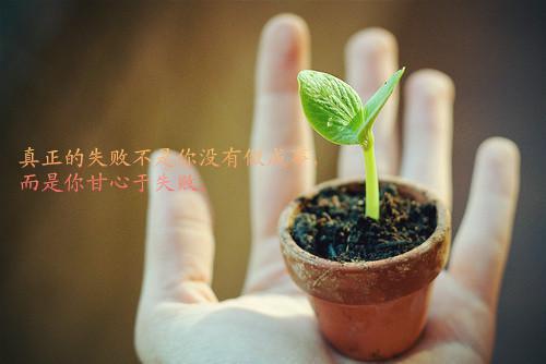 重生后我们的爱到此为止：大结局+后续小说沈佳嘉周北琛小说重生后我们的爱到此为止：大结局+后续小说沈佳嘉周北琛 重生后我们的爱到此为止：大结局+后续小说小说在哪里可以看沈佳嘉周北琛