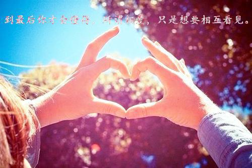 田穗宁的小说苏心蕾穆远浩田若凝,向楼,向田若全文在线阅读