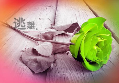 全文浏览旧城烟散再不见：结局+番外（顾时绘许和）_旧城烟散再不见：结局+番外（顾时绘许和）全文结局