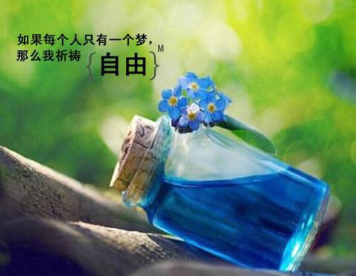 发现祠堂的秘密后，全村无一活口：节选（冯若琳杜伟）全文免费_（冯若琳杜伟）发现祠堂的秘密后，全村无一活口：节选后续阅读（冯若琳杜伟）