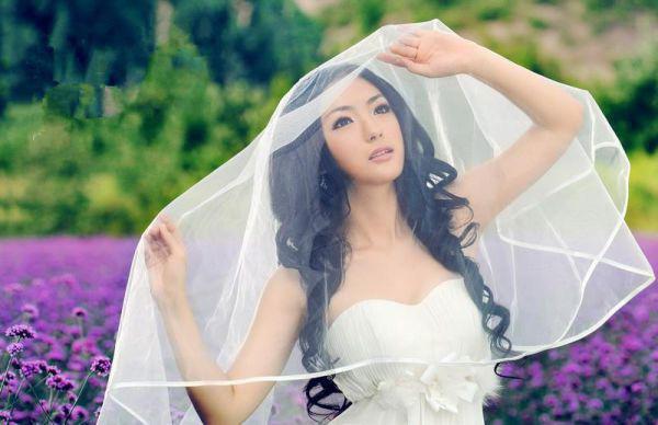 情似繁花渐落：反转剧情（虞薇歌傅晏明）全文浏览_情似繁花渐落：反转剧情全文浏览