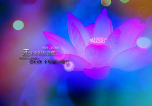 好看的陆泽每年都会小说_陆泽每年都会最新章节阅读