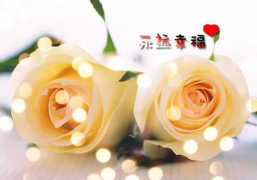 张素兮贺玄烨小说全文免费「免费小说」张素兮贺玄烨全集阅读