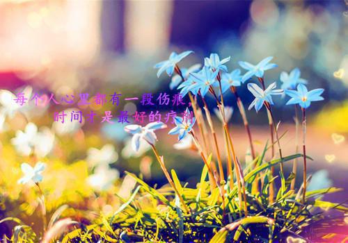 完结文奈何惊鸿入我心：+后续最新章节列表_完结文奈何惊鸿入我心：+后续全文免费阅读（江疏桐段知许）