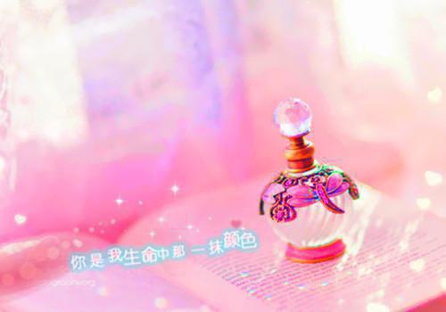 终是惊鸿难照影：+后续+完本结局+番外(谢知远温向晚)全文谢知远温向晚读无弹窗结局_谢知远温向晚读结局章节列表_笔趣阁（终是惊鸿难照影：+后续+完本结局+番外）