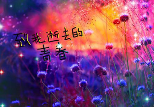 总裁别作了，夫人乃玄门大佬（锦昭昭简宴廷）全文免费_（锦昭昭简宴廷）总裁别作了，夫人乃玄门大佬后续阅读（锦昭昭简宴廷）