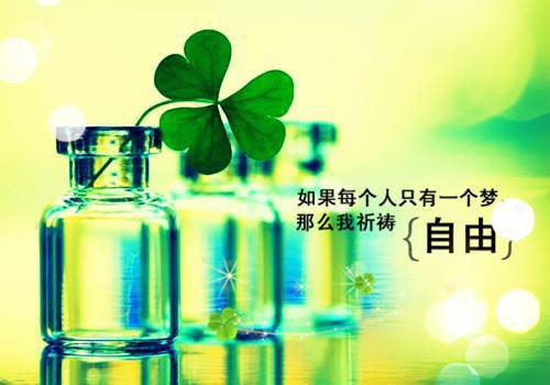 男二们为我放弃女主（阿寒,慕寒,白怜）最新推荐_最新推荐男二们为我放弃女主（阿寒,慕寒,白怜）