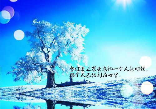 和影帝曝光恋情后，全网黑粉闭麦了「精彩小说」勾外翘,颈窝,池宥大结局阅读