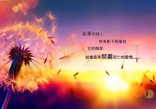 全本发现祠堂的秘密后，全村无一活口火爆情节（冯若琳杜伟）最新章节列表_全本发现祠堂的秘密后，全村无一活口火爆情节全文阅读