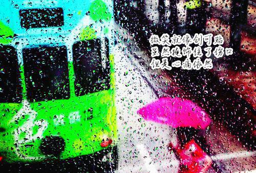闻砚辞阮雾梨纯净无弹窗版（阮雾梨闻砚辞）终章阅读无广告