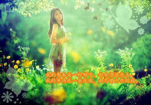 黄泉情难渡：新鲜出炉（叶北宸凤念安）全文浏览_黄泉情难渡：新鲜出炉全文浏览