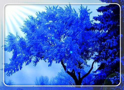 (番外)+(全文)水花明媚全文+后续下载阅读_(萧彻许柔)水花明媚全文+后续最新章节列表_笔趣阁（萧彻许柔）