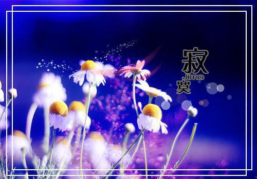 完结文凉薄怎配情深：免费在线最新章节列表_完结文凉薄怎配情深：免费在线全文免费阅读（阮青杳陆景琛乔若微）