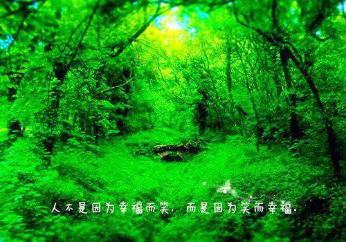 乡村狂乱邪医结局+番外(曹二蛋王雪娥)全文曹二蛋王雪娥读无弹窗结局_曹二蛋王雪娥读结局章节列表_笔趣阁（乡村狂乱邪医结局+番外）